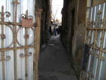 DSCF0285