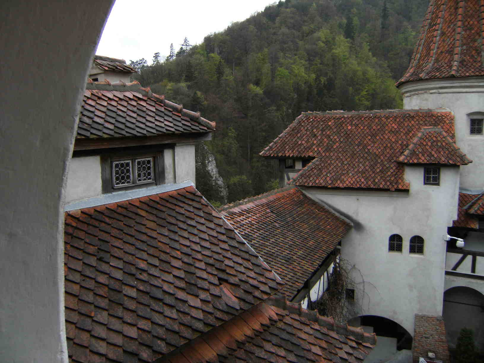 DSCF0412