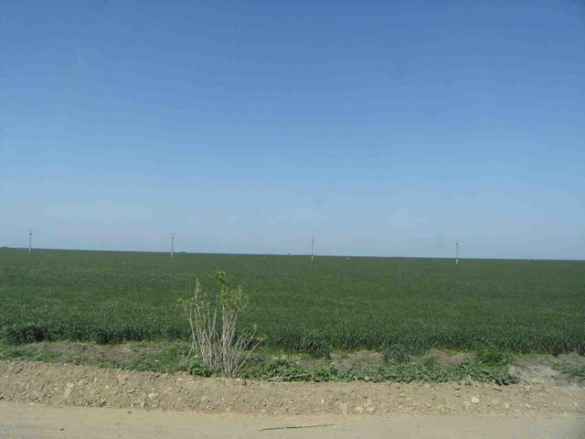 DSCF0436