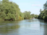 DSCF0455