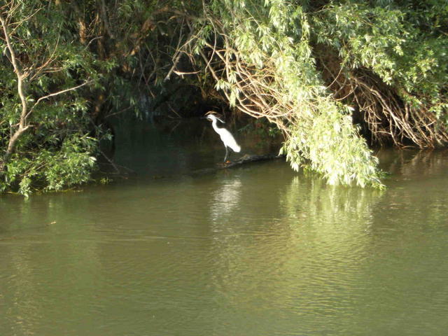 DSCF0474
