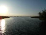 DSCF0484