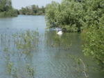 DSCF0491