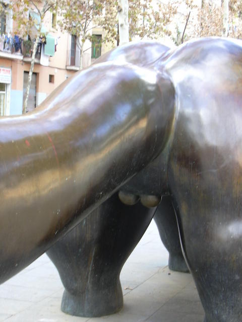 DSCN0594