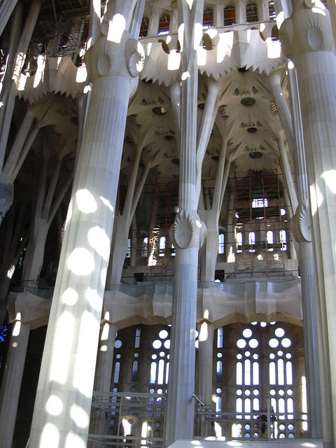 DSCN0705