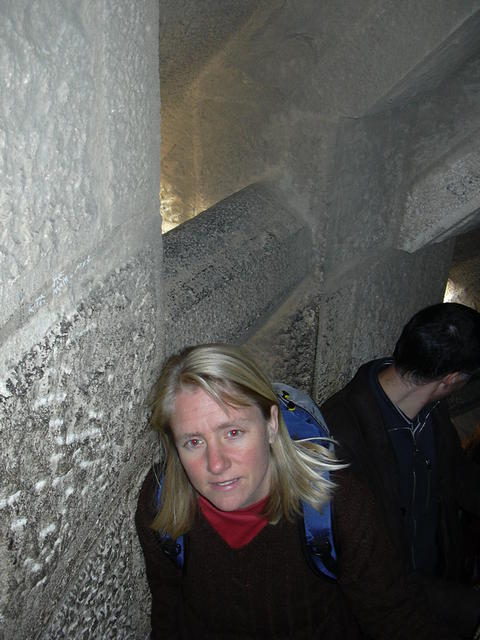 DSCN0732