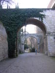 DSCN0764