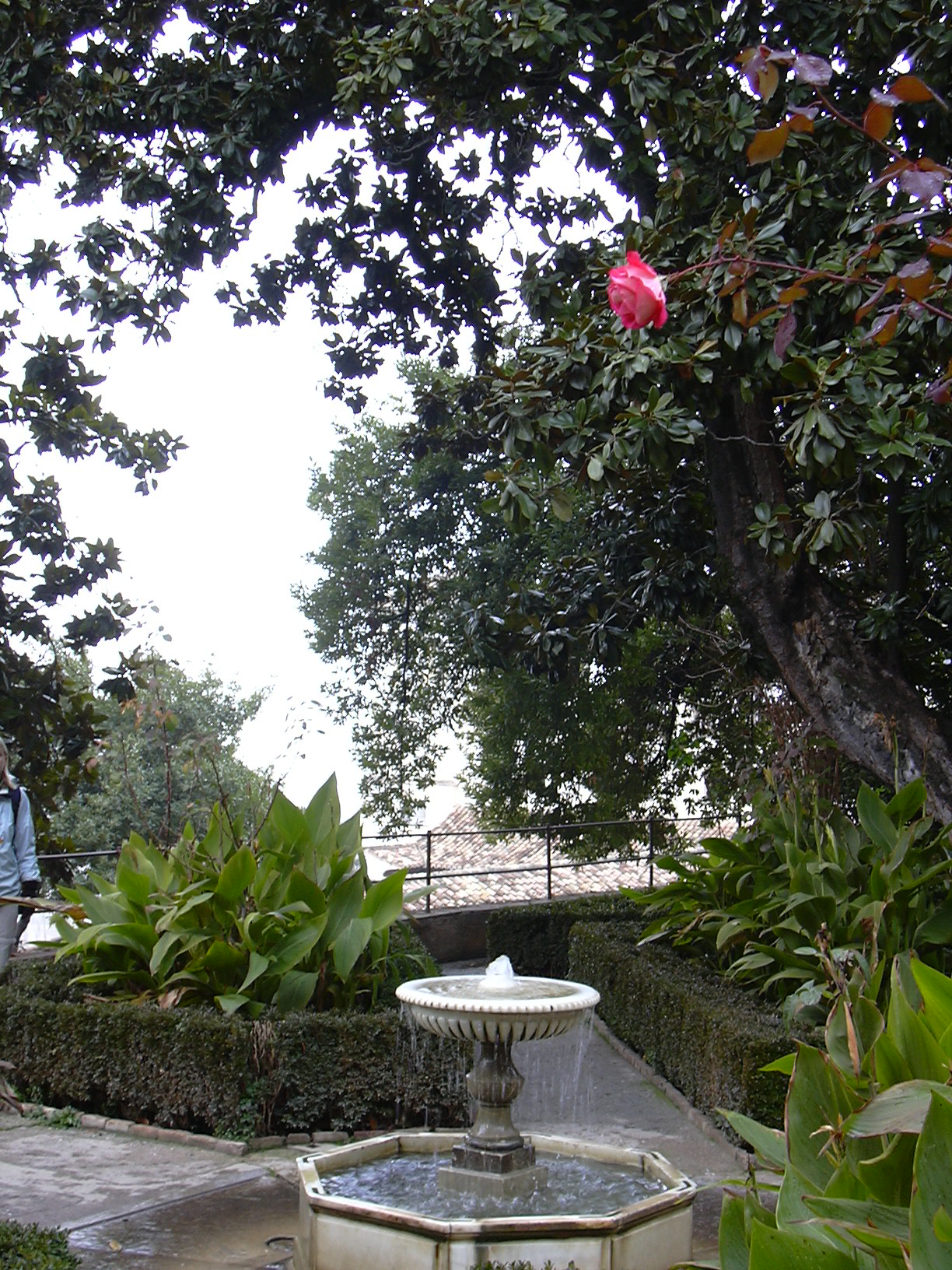 DSCN0802