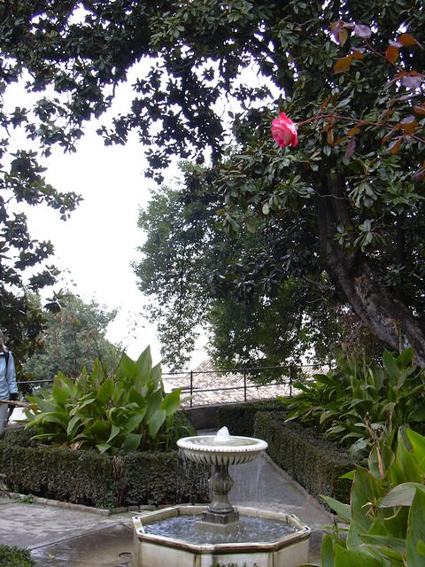 DSCN0802