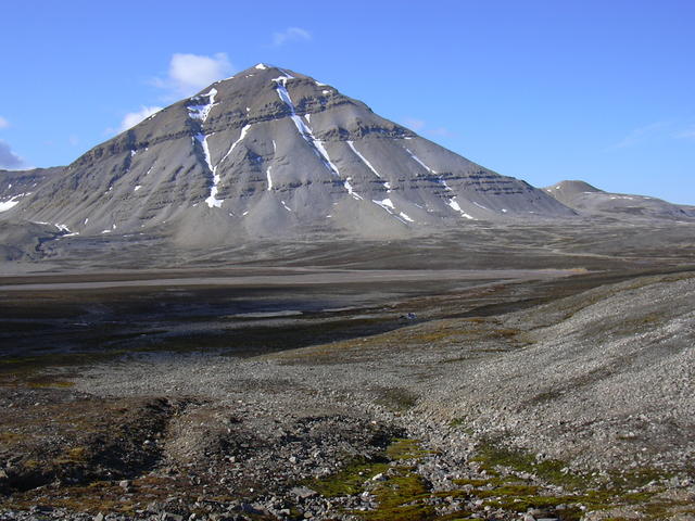 DSCN1334
