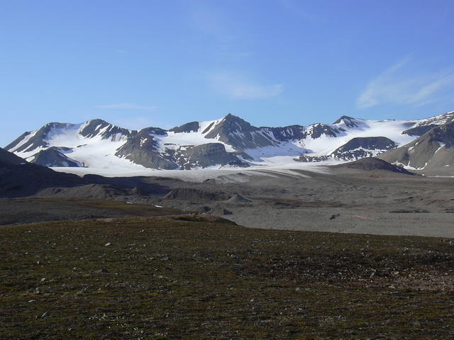 DSCN1341
