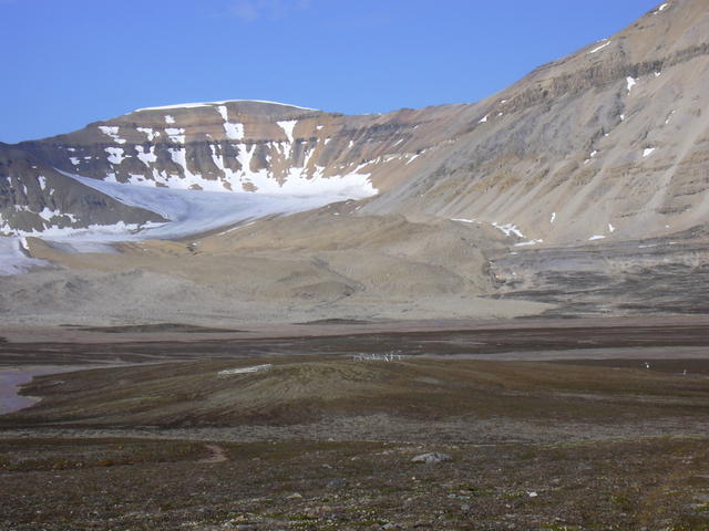 DSCN1344