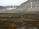 DSCN1668