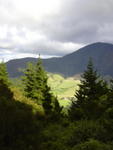 dscn0223