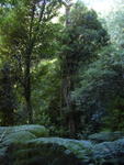 dscn0238