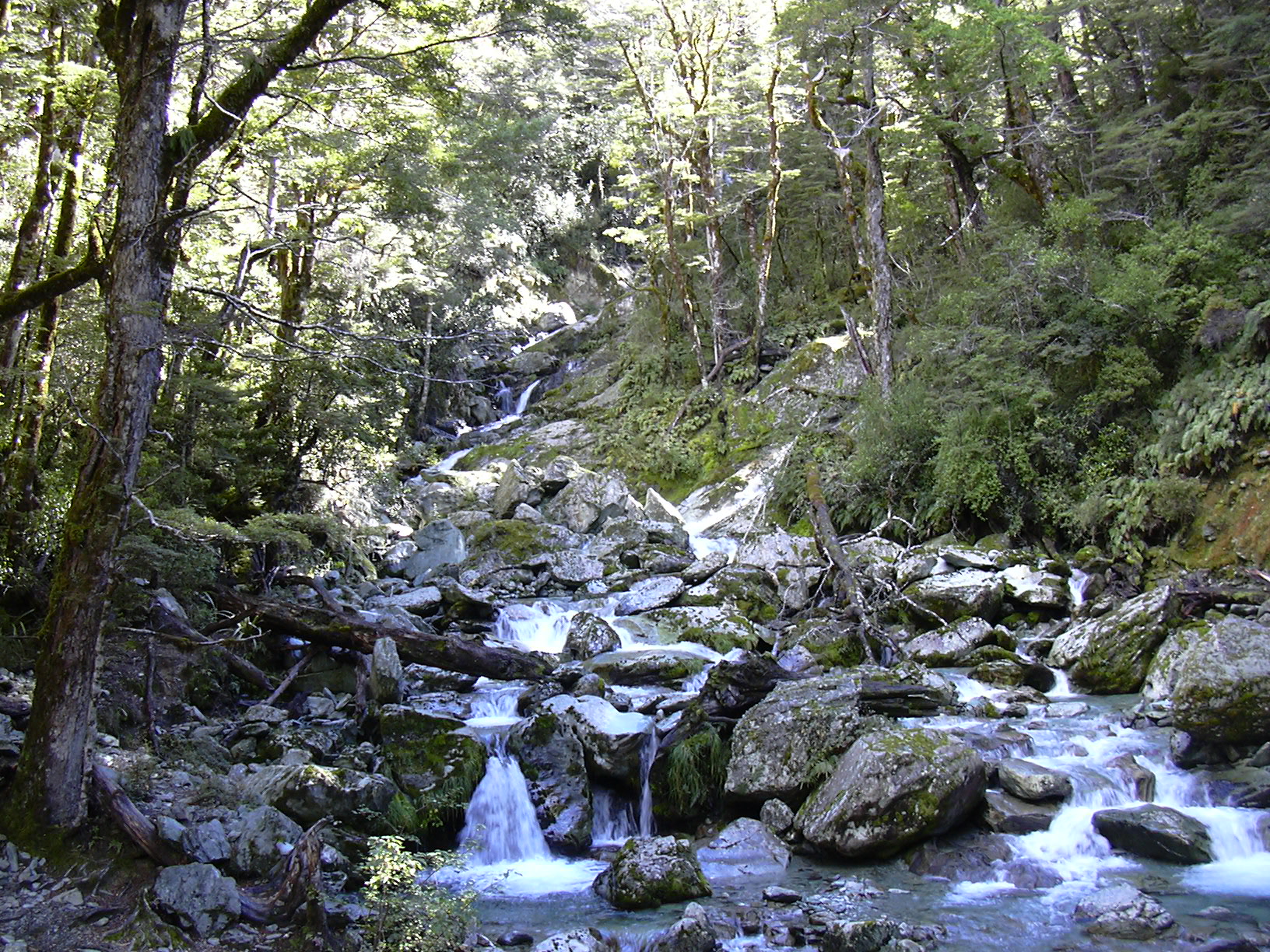 dscn0327