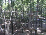 DSCF0651_a
