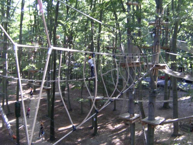 DSCF0651_a