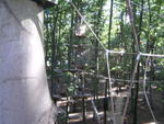 DSCF0652_a