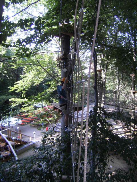 DSCF0661_a