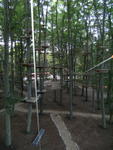 DSCF0673_a