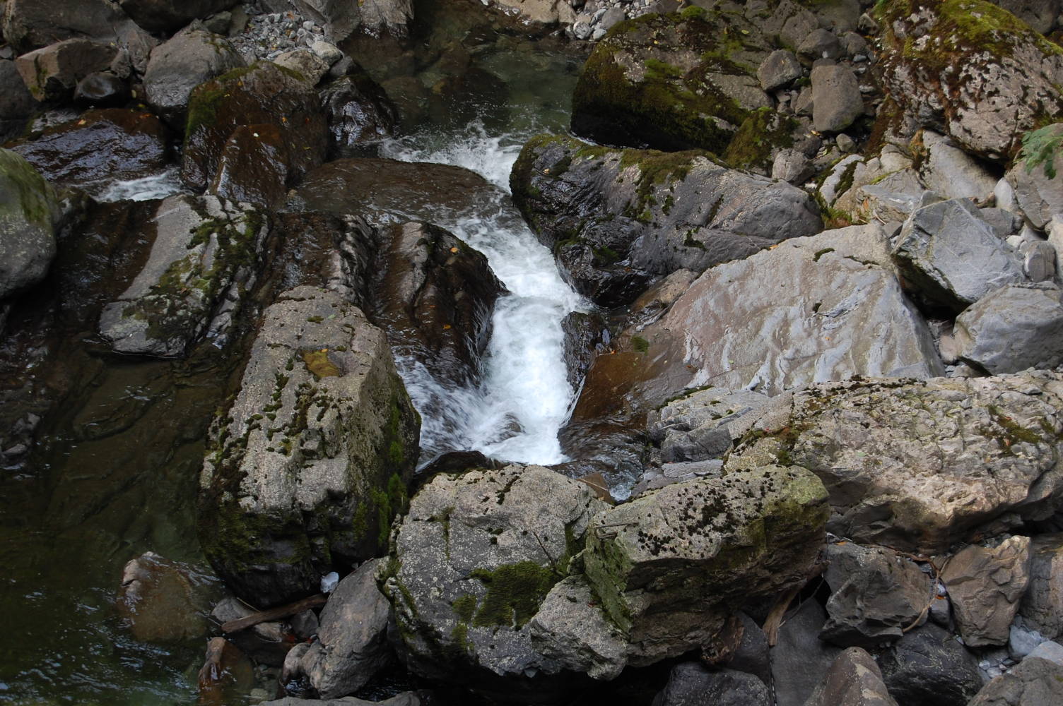 DSC_0080