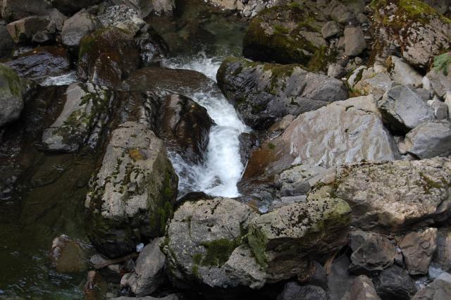 DSC_0080