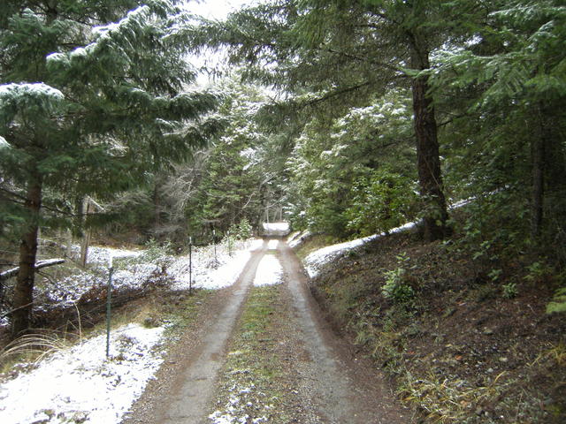 DSCF0019