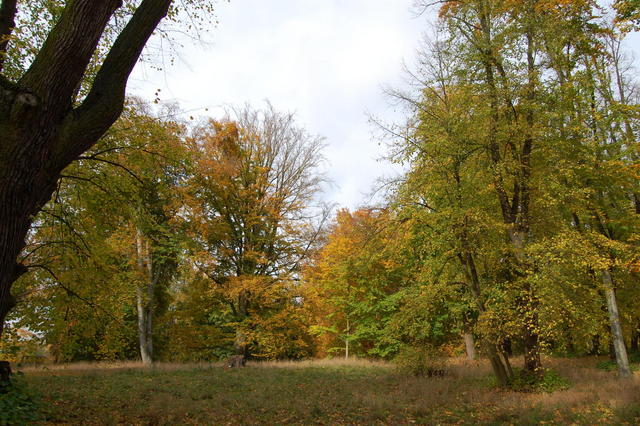DSC_0023
