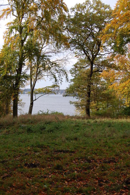 DSC_0025