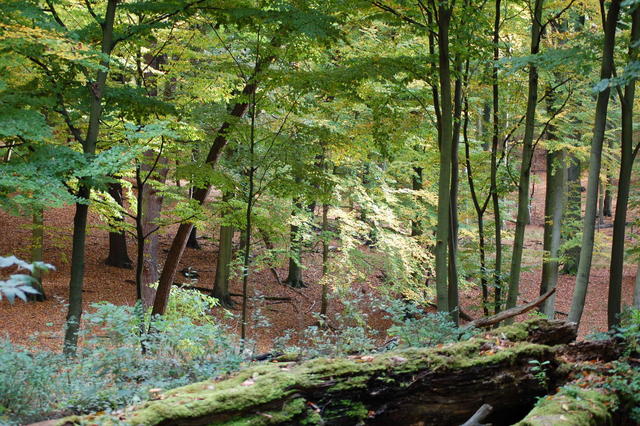 DSC_0041
