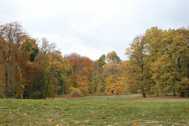 DSC_0049