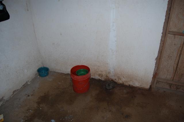 my shower and pee pot