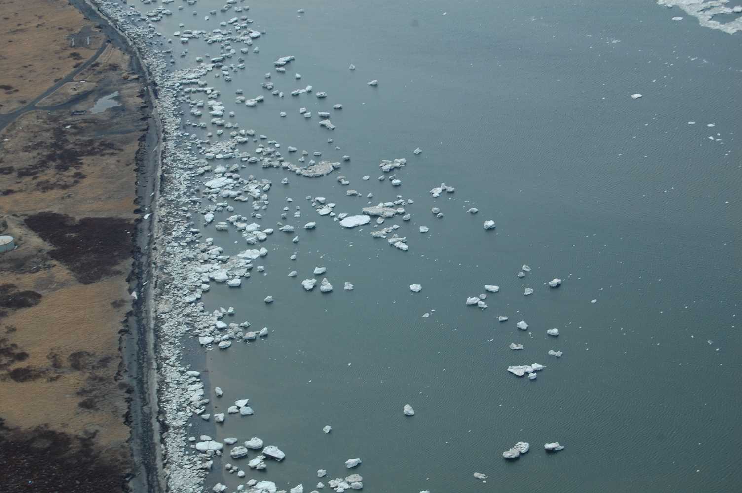 DSC_0164