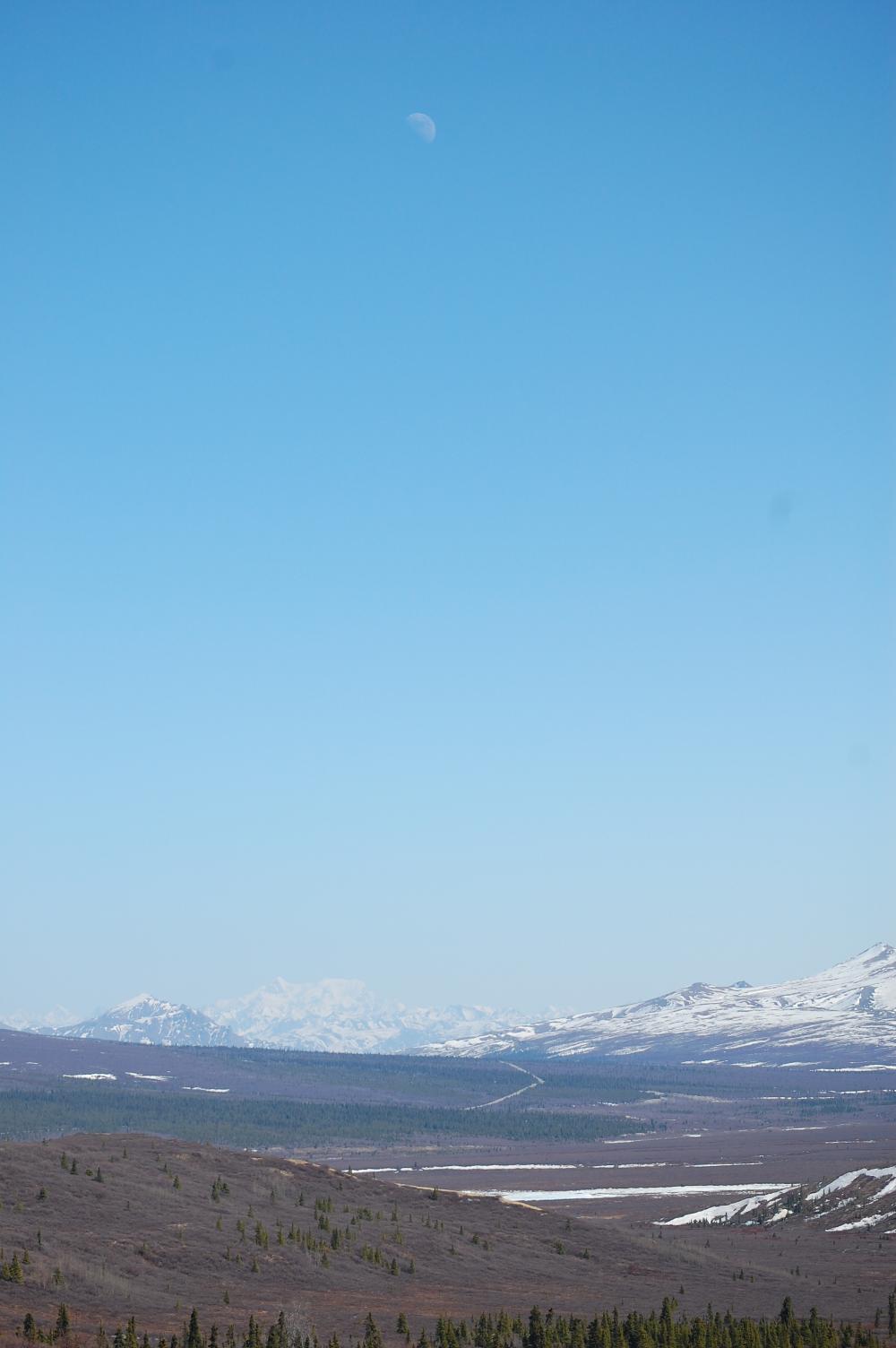 DSC_0018