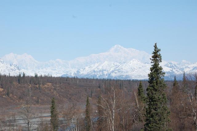DSC_0070
