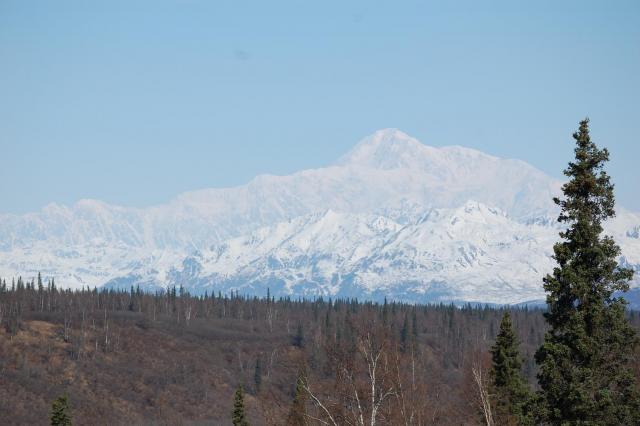 DSC_0071