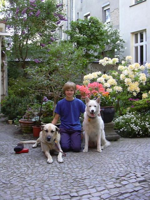 Kenai, Tabia, and Mytack. May 2007.  Last picture of Kenai.