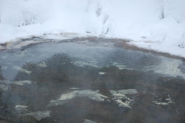 The bubbling springs