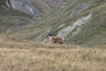 img_0053