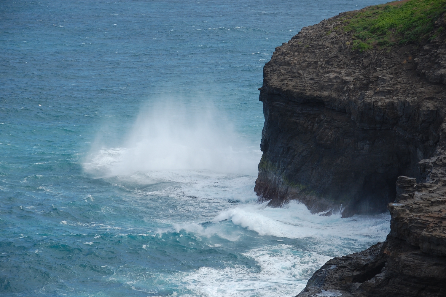 DSC_0010