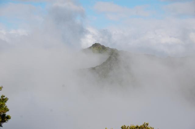 DSC_0077