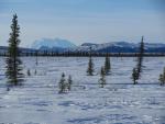 IMG_3853