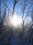 IMG_3858