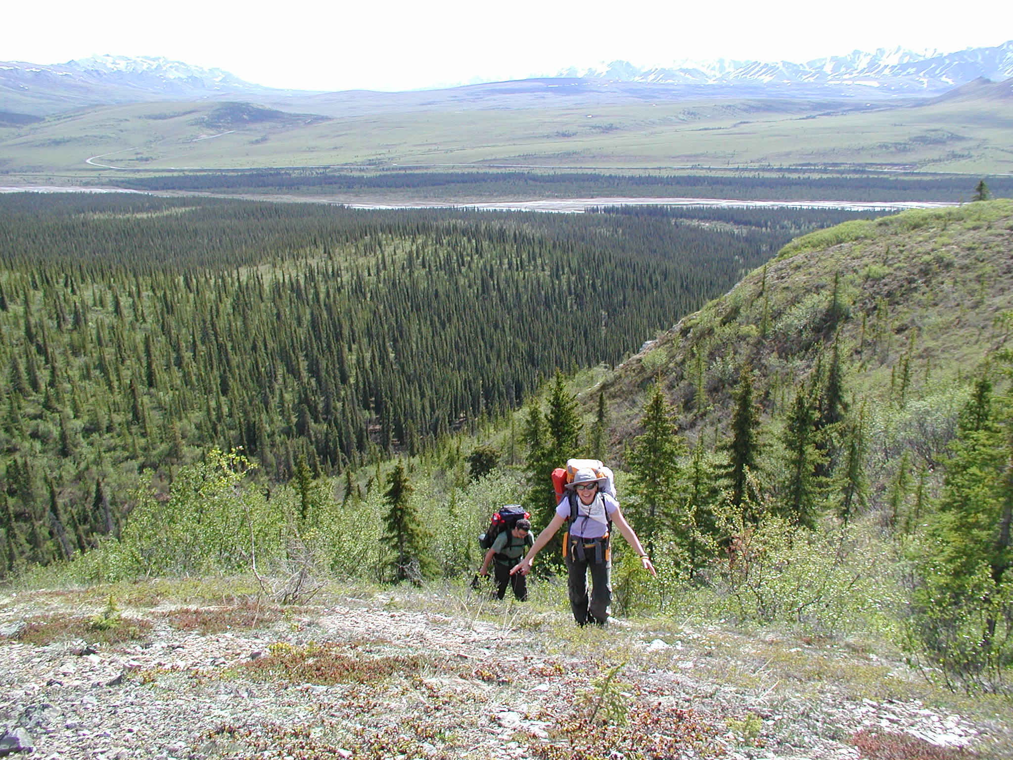p5290019