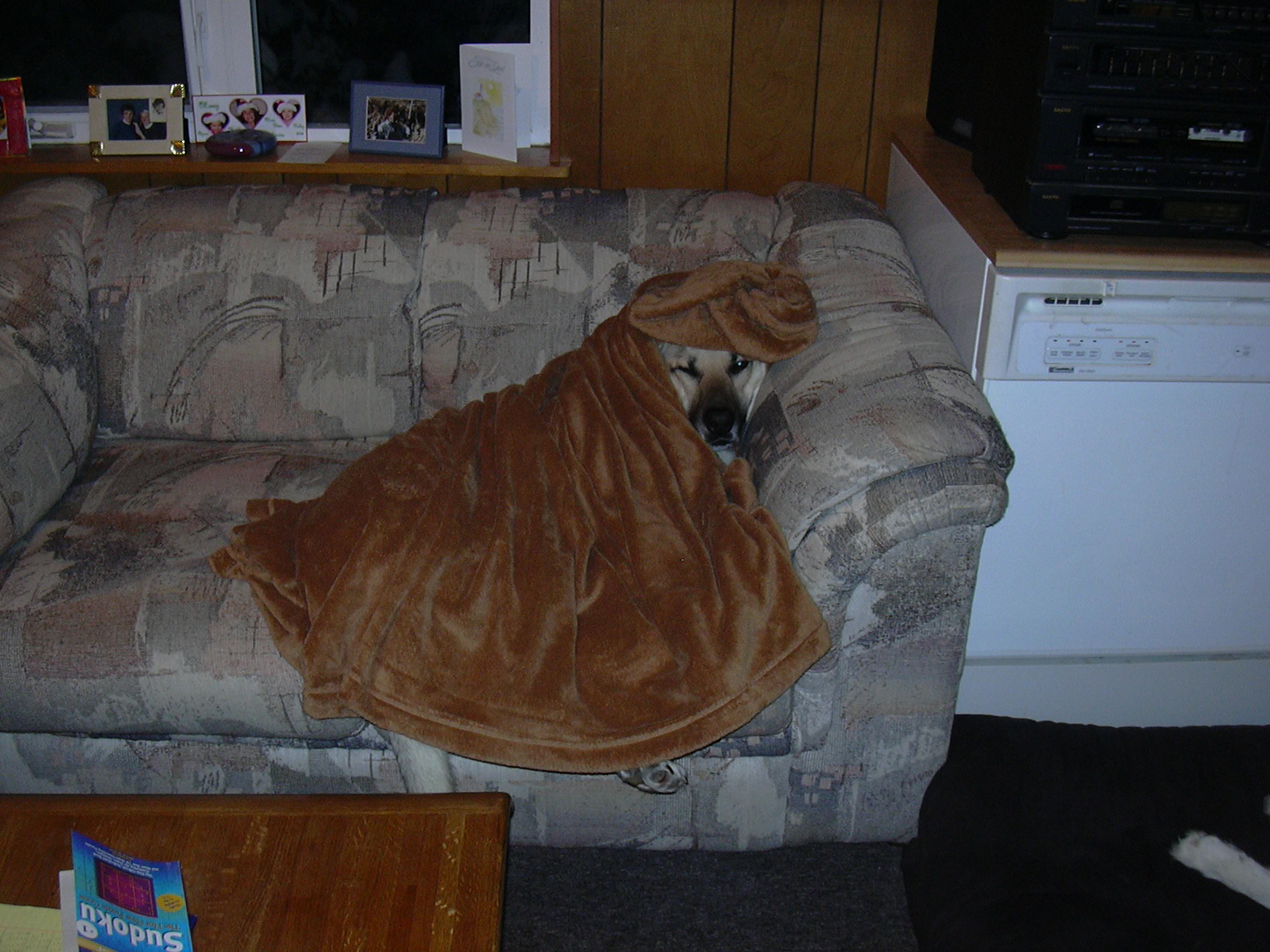 Spoiled Beans. Jan. 2006.