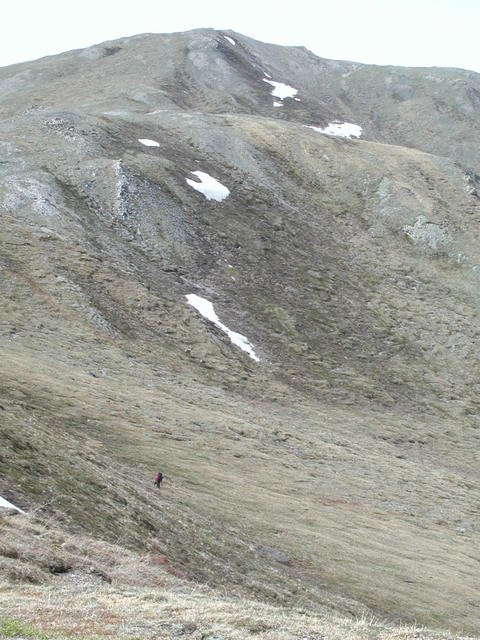 p5290034