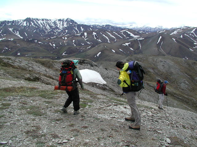 p5290037