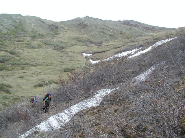 p5290038