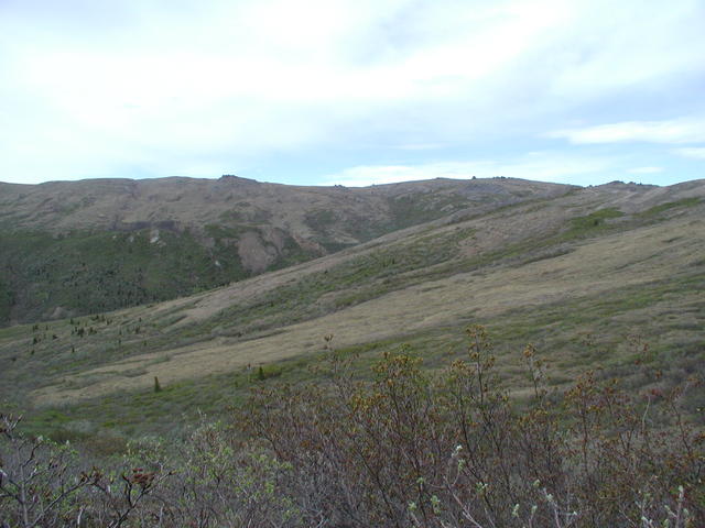 p5290041